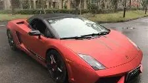 郑恺火锅新店亮相 陆毅蔡少芬亲临助阵剪彩