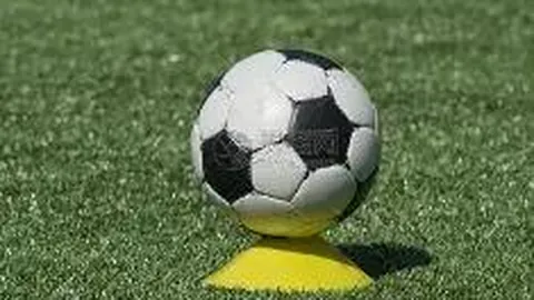 明星社媒起落录：一念之差，辉煌与沉寂交错