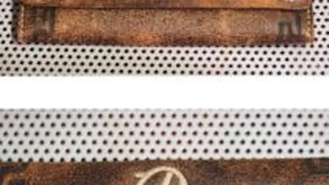 南安普敦新任主教练塞莱斯上任，执掌教鞭至赛季结束。