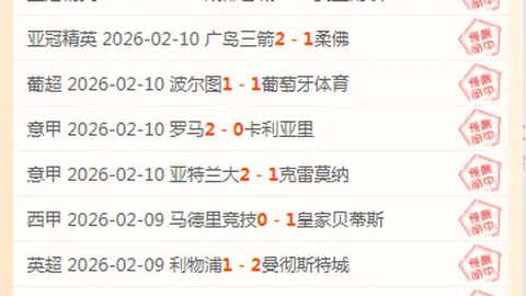 德甲球队迎新帅受阻，大黄蜂不幸遇挫